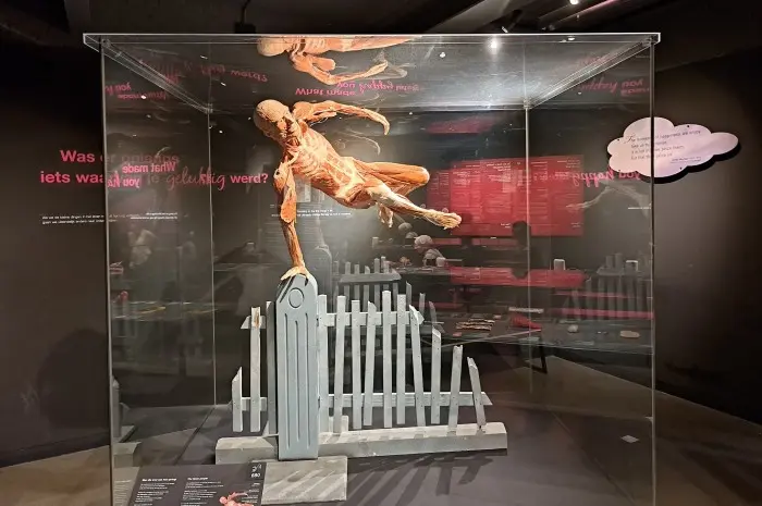 BODY WORLDS Amsterdam