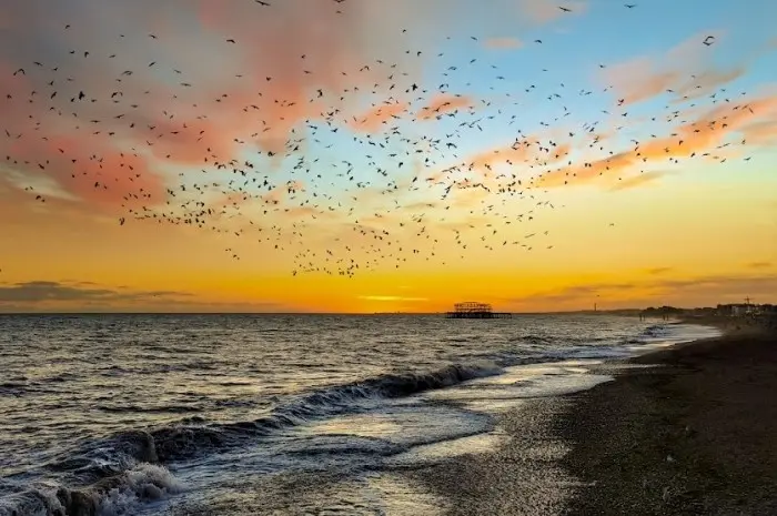 Brighton Beach