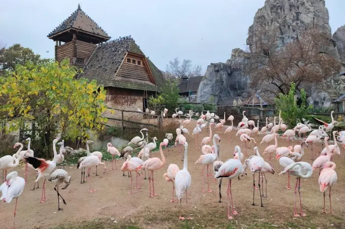 Budapest Zoo & Botanical Garden