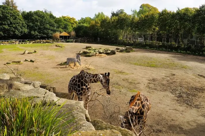 Dublin Zoo