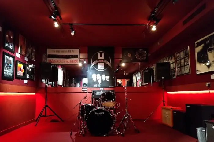 Irish Rock 'n' Roll Museum