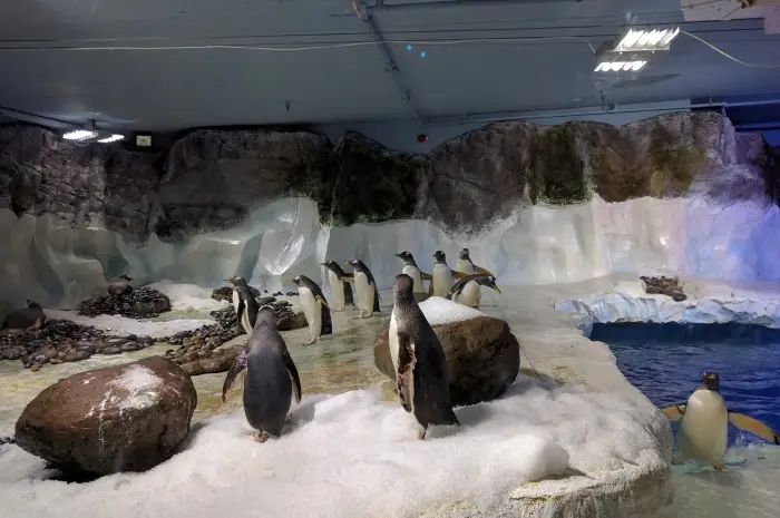 National SEA LIFE Centre Birmingham