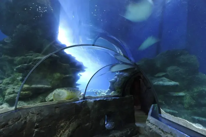 SEA LIFE London Aquarium