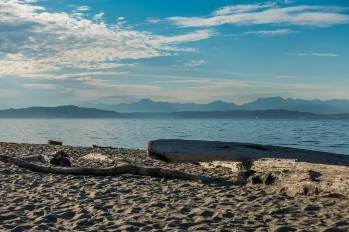 Alki Beach Park