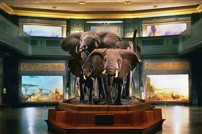 American Museum of Natural History