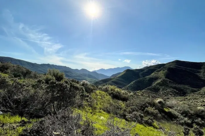 Angeles National Forest