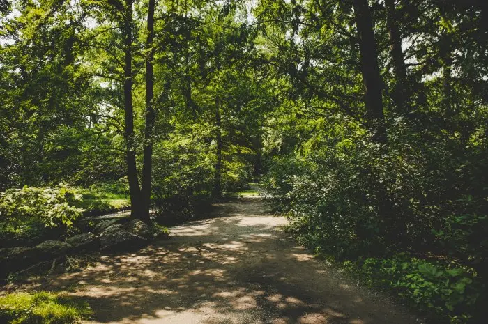 Arnold Arboretum of Harvard University