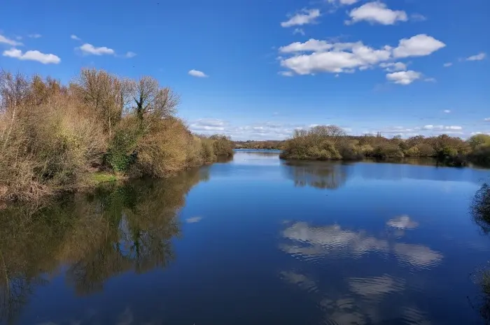 Attenborough Nature Reserve