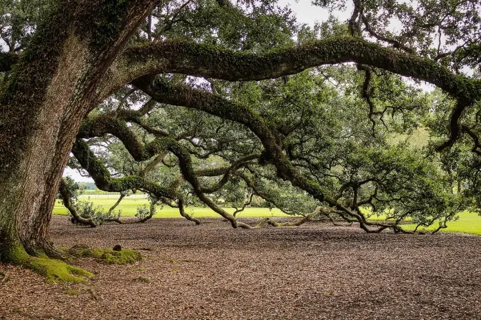 Audubon Park