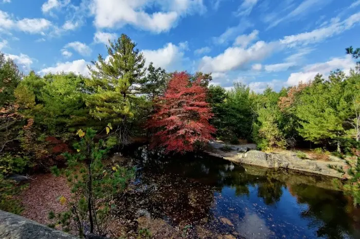 Blue Hills Reservation