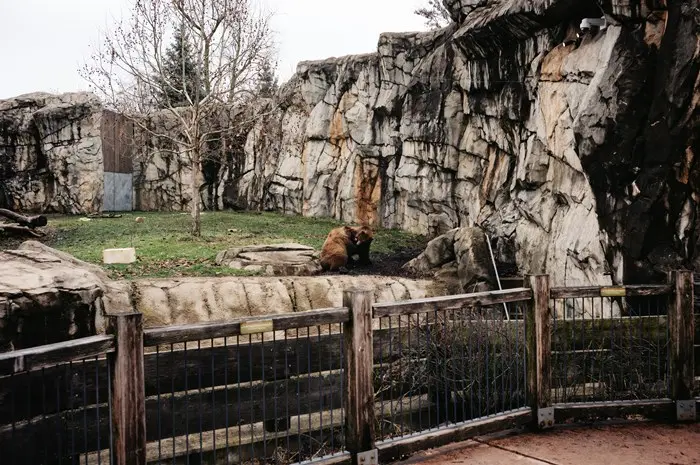 Brookfield Zoo