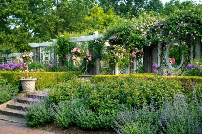 Brooklyn Botanic Garden