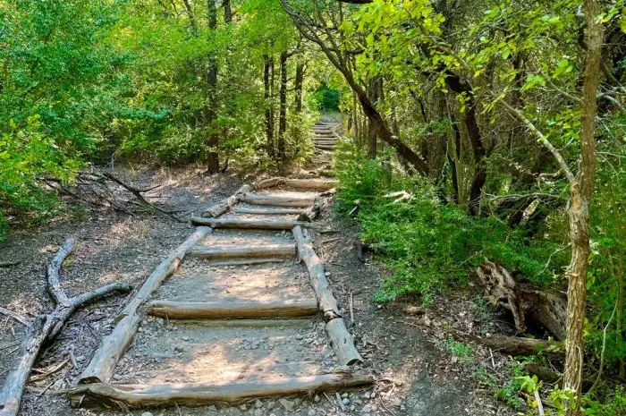 Cedar Ridge Preserve