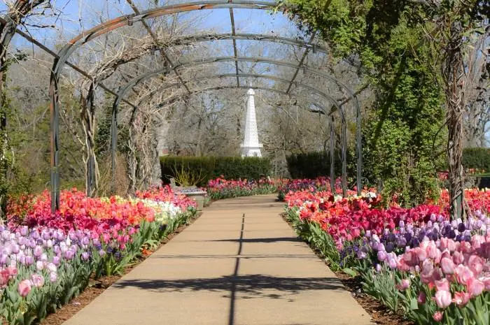 Cheekwood Estate & Gardens