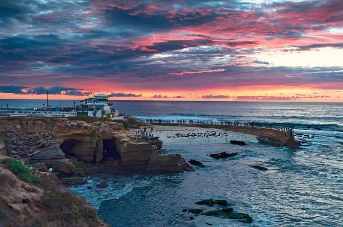 Children's Pool La Jolla
