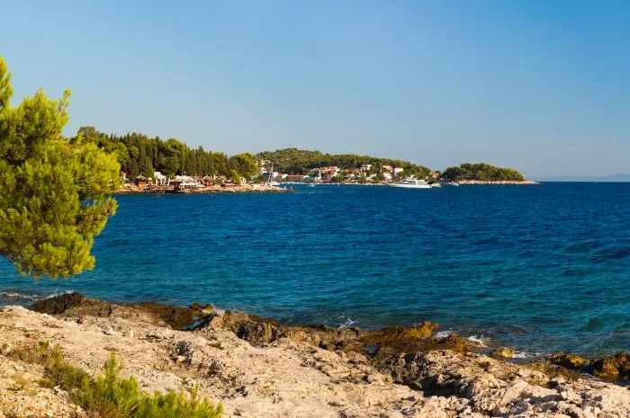 Dalmatian Coast
