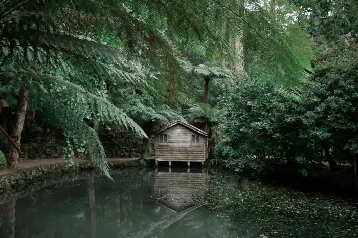 Dandenong Ranges National Park