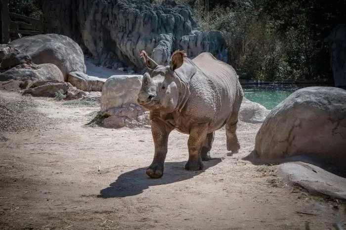 Denver Zoo