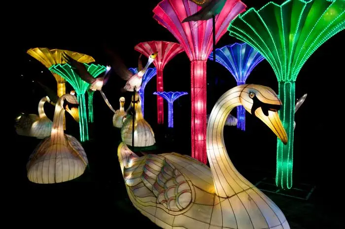 Dubai Garden Glow