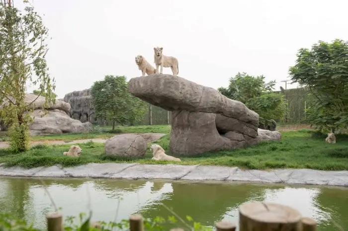 Dubai Safari Park