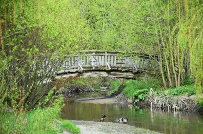 Edwards Gardens