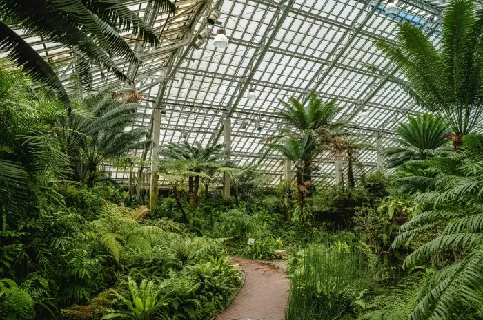 Garfield Park Conservatory