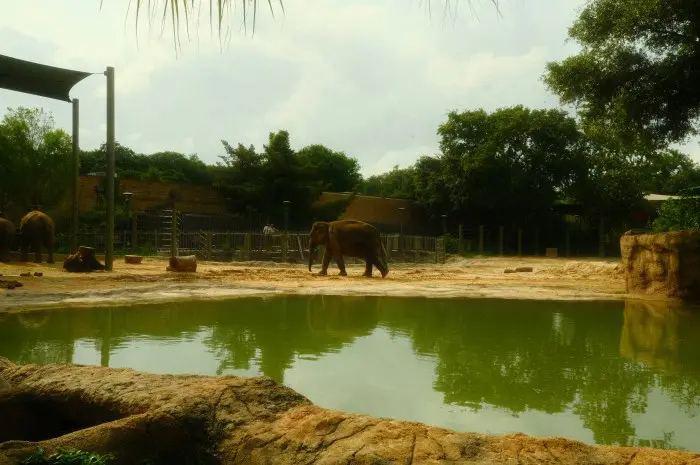 Houston Zoo