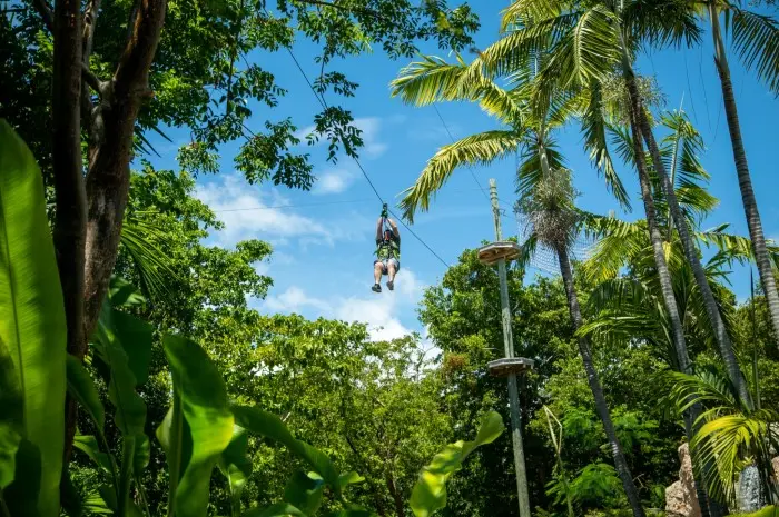 Jungle Island