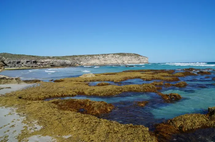 Kangaroo Island