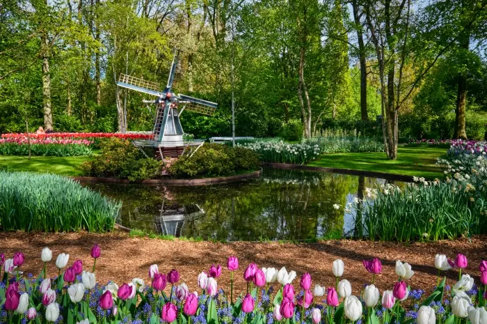 Keukenhof, Netherlands
