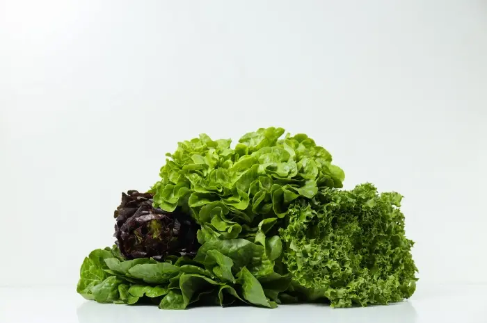 Leafy Greens A Powerhouse of Nutrients