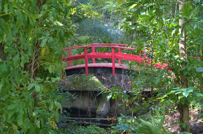 Miami Beach Botanical Garden