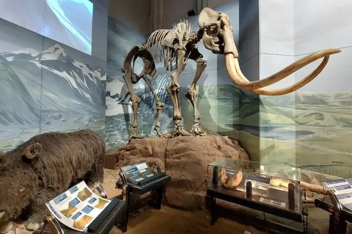 National Museum Cardiff
