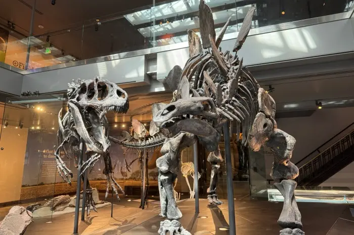 Natural History Museum of Los Angeles County