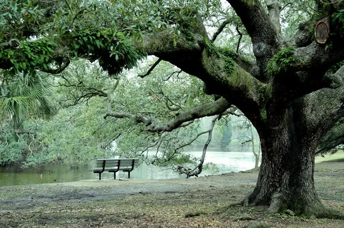 New Orleans City Park