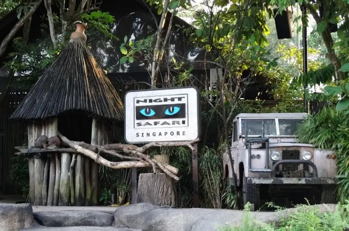 Night Safari