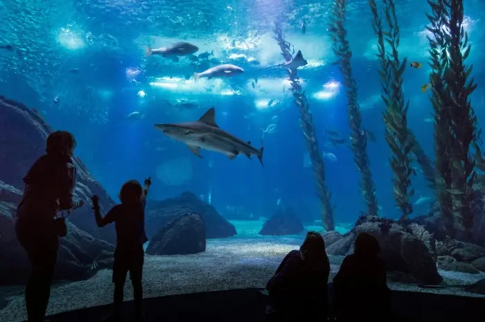 Oceanário de Lisboa