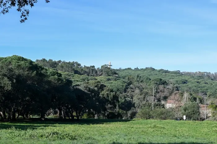 Parque Florestal de Monsanto