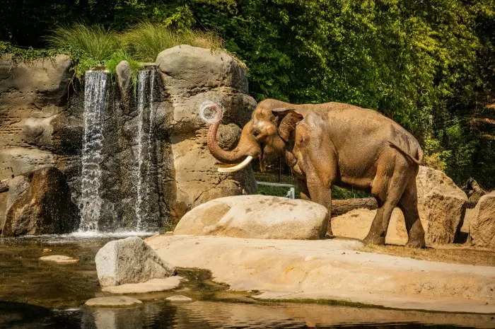 Prague Zoo