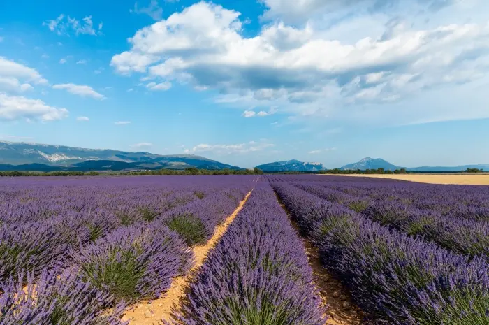 Provence, France
