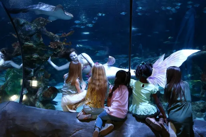 SEA LIFE Grapevine Aquarium