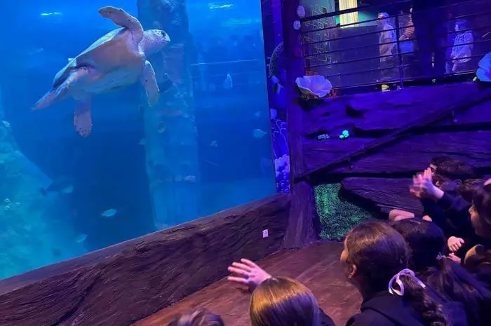 SEA LIFE Melbourne Aquarium