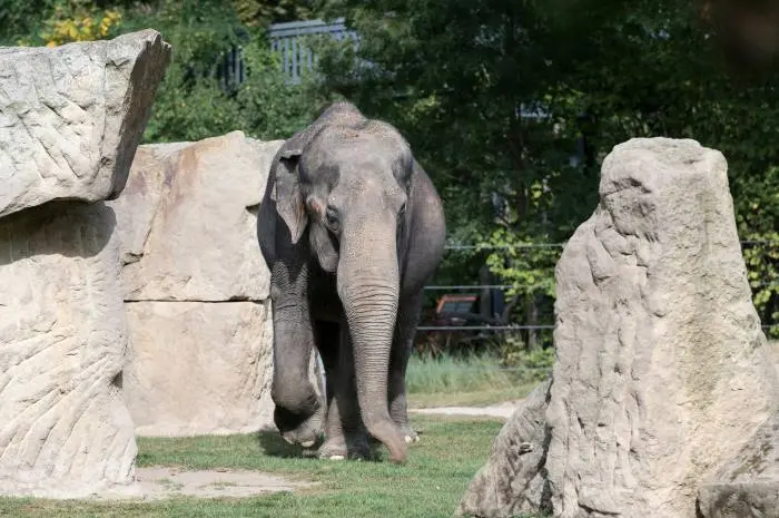 San Diego Zoo