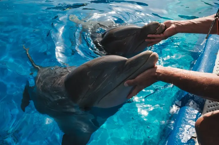 SeaWorld San Diego
