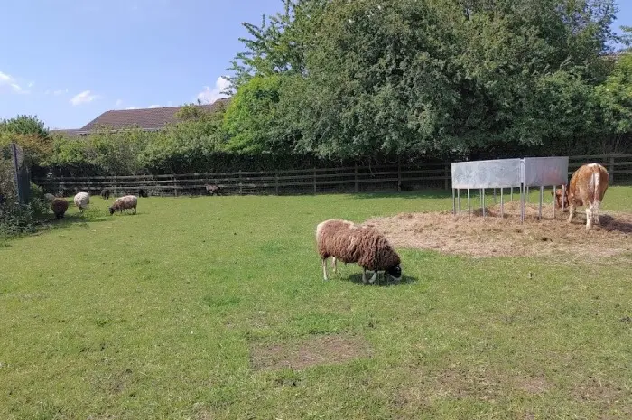 Stonebridge City Farm