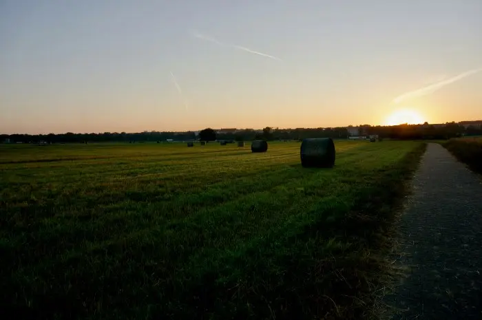 Tempelhofer Feld