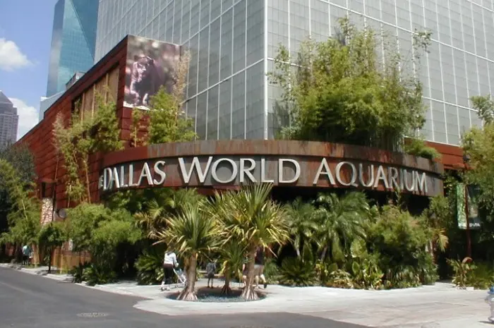 The Dallas World Aquarium