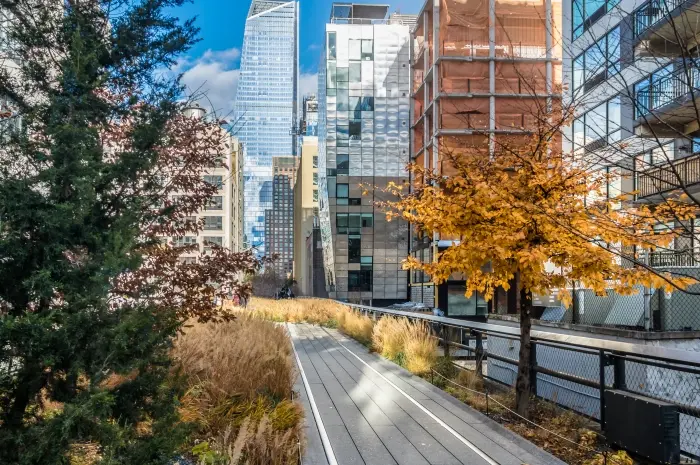 The High Line