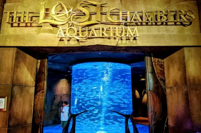 The Lost Chambers Aquarium at Aquaventure World