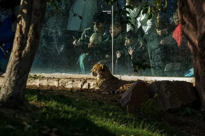 Toronto Zoo